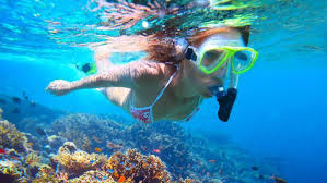 Snorkel Eco Adventure